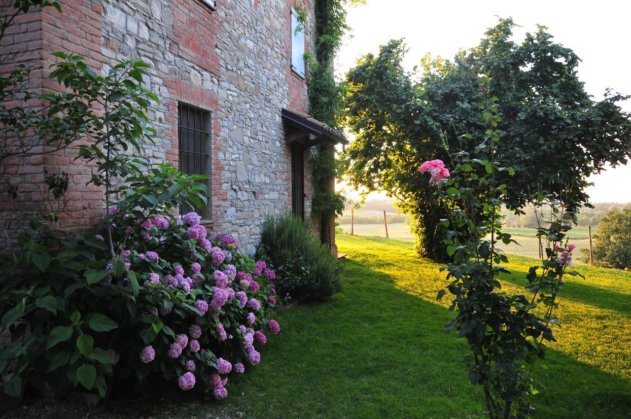 Bosco Dei Poveri